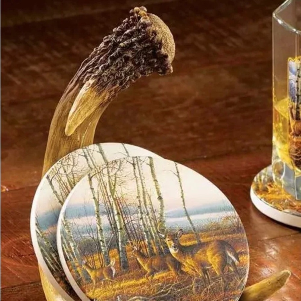 Wild Wings Natures coasters Holder